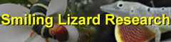 Smiling Lizard Research
www.smilinglizard.com